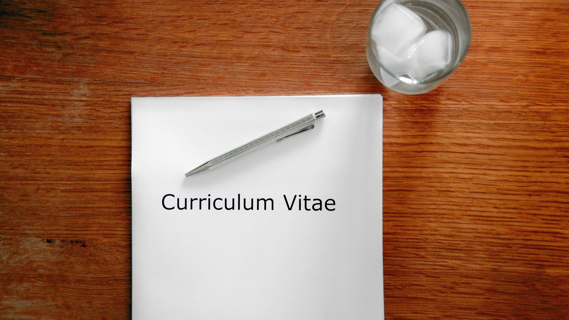 curriculum vitae